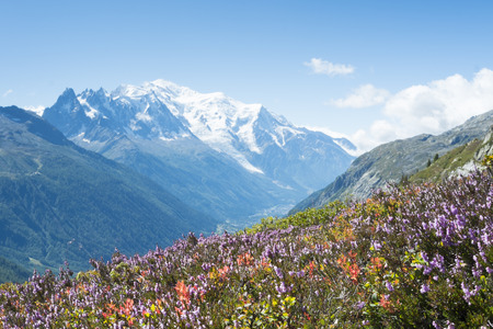 Tour du Mont Blanc Overview